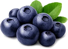 Bilberry extract — {{OFFER_NAME}}