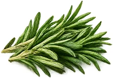 Rosemary extract — {{OFFER_NAME}}